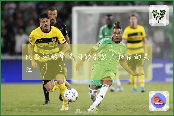 比亚迪的审美问题引发王传福的关注