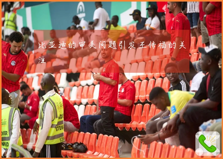 比亚迪的审美问题引发王传福的关注